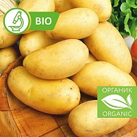 Картофель Органик Сорт Колетте