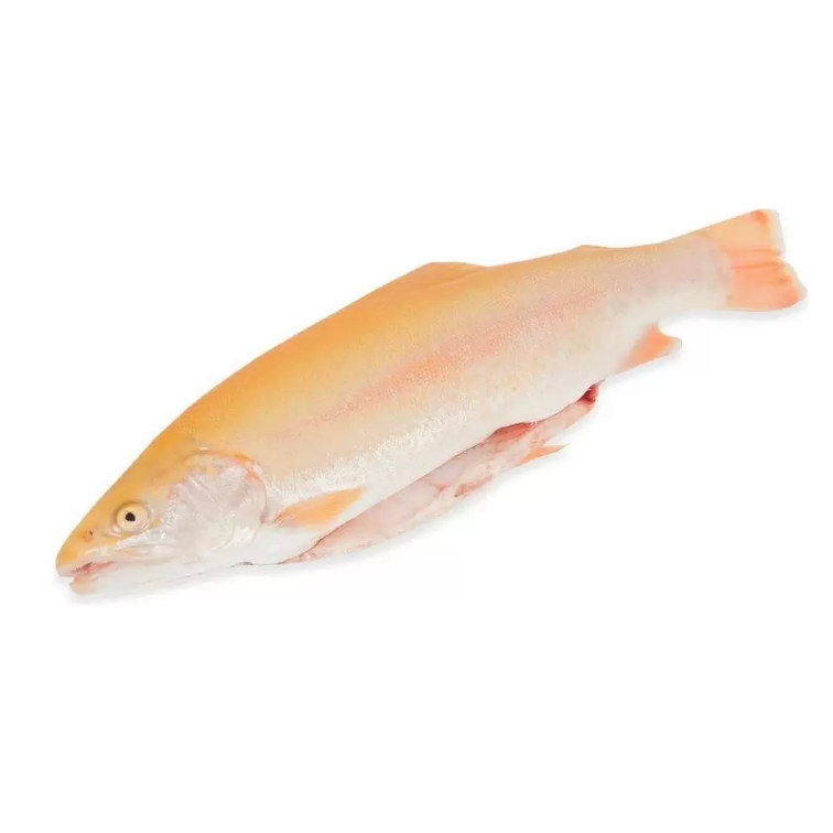 Форель Янтарная замороженная