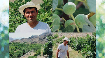 Фермер Ашот Калашян (Армения)