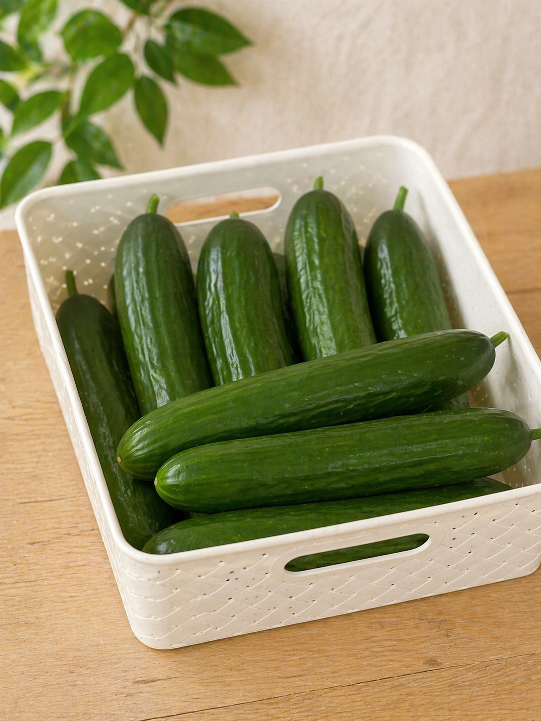 Огурец длинноплодный