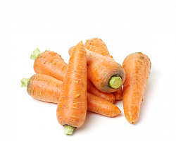 Морковь молодая