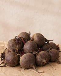 Свекла Россия