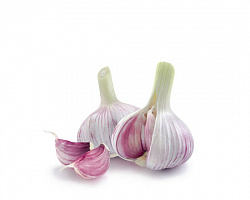 Чеснок озимый М2