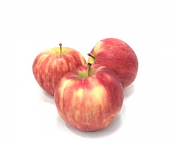 Яблоки "Медовый хруст"