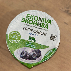 "Творожок" Эконива 5% 125г Черника