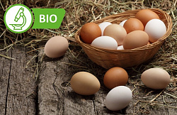 Яйца куриные деревенские диетические (10 шт)