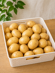 Картофель Органик молодой