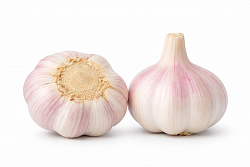 Чеснок - Партнерский