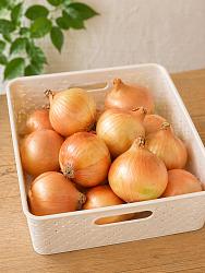 Лук репчатый