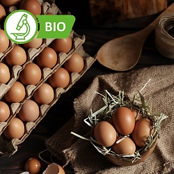 Яйца куриные деревенские молодок (10 шт) Фермер Валентина Сонина