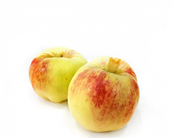 Яблоки "Богатырь"