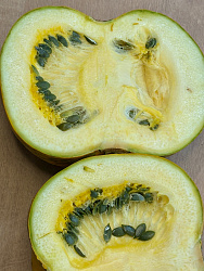 Тыква Штирийская Органик