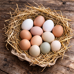 Яйца куриные деревенские диетические (10 шт)