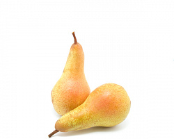 Груша "Аббат" Партнерская