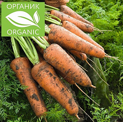 Морковь органик Белые Луги