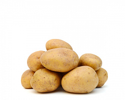 Картофель "Гала" - фермерский